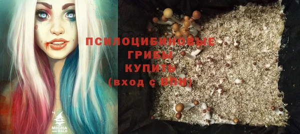 винт Медвежьегорск